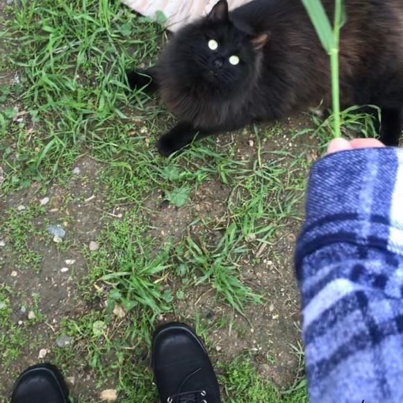 Meet your Posher, Eloise - Picture 2 of 2